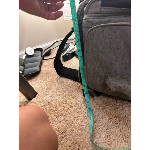 Luxury Travel for pets! - Picture 12 of 16